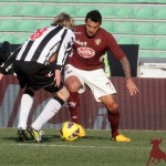 TORINO FC stagione calcistica Serie A 2012/2013  nella foto  Santana Mario