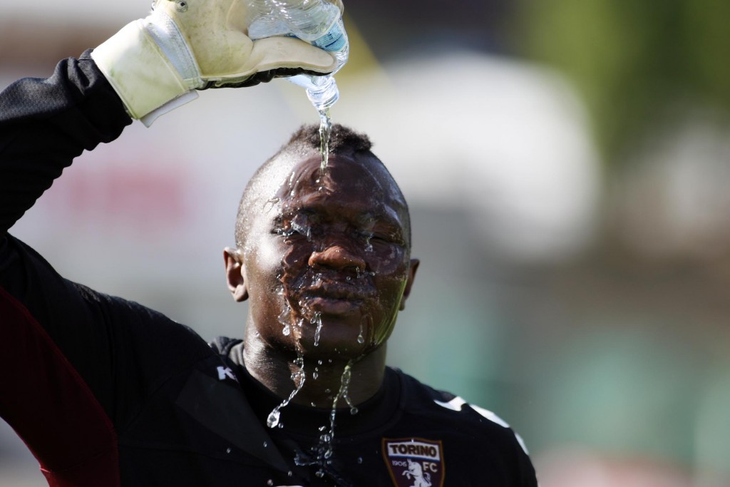 TORINO FC stagione calcistica Serie A 2012/2013  nella foto Gomis