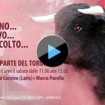 dalla parte del Toro play