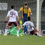 Hellas Verona FC v Torino FC - Serie A