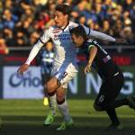 Belotti, Toro, Torino