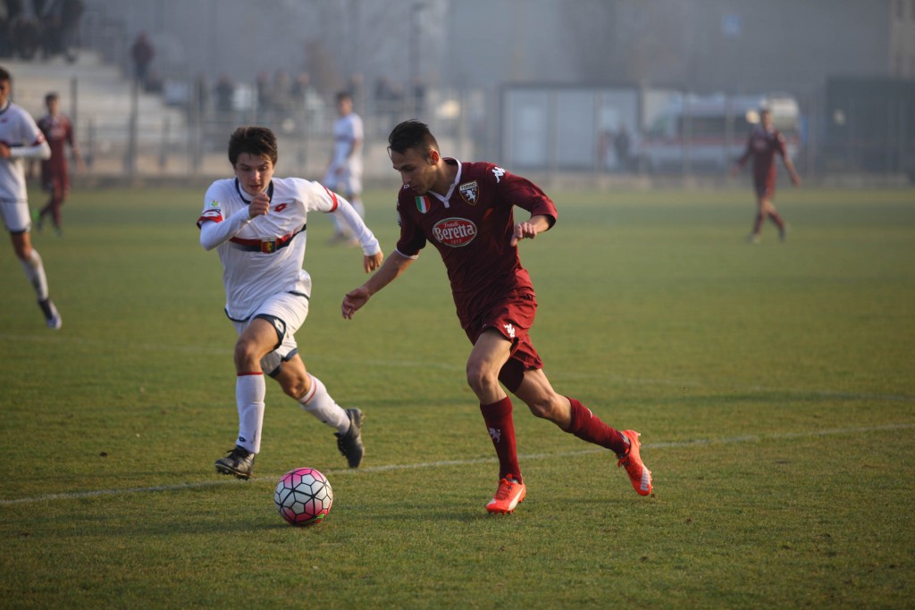 Edera,Torino-Genoa, Primavera