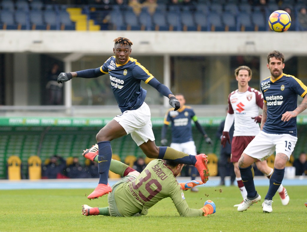 Hellas Verona FC v Torino FC - Serie A