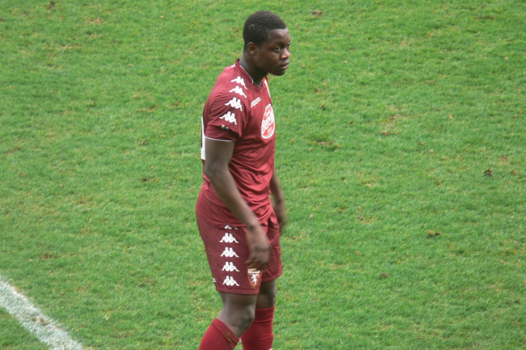 primavera, kone