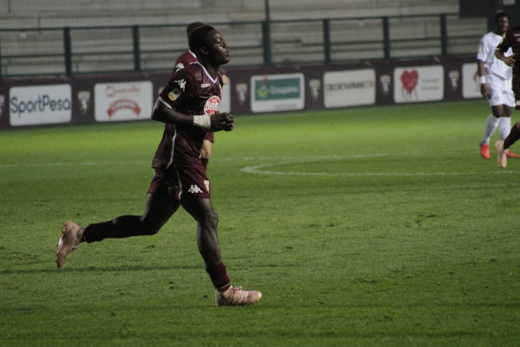 Primavera kone