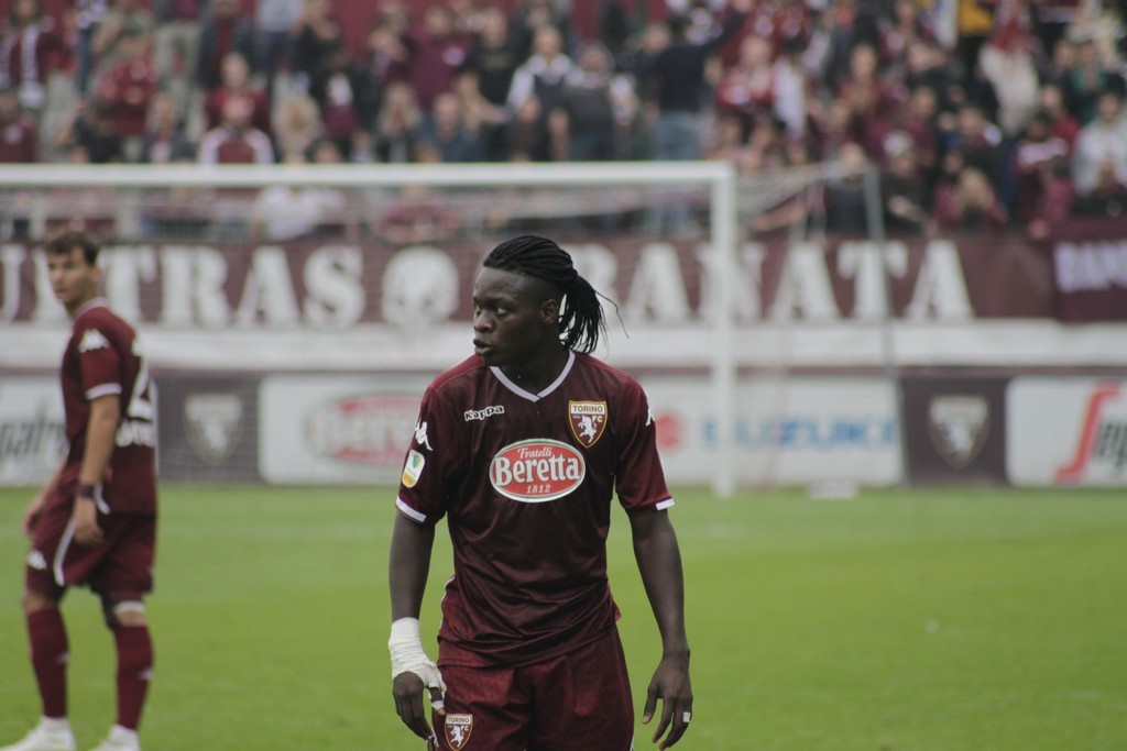 primavera, kone