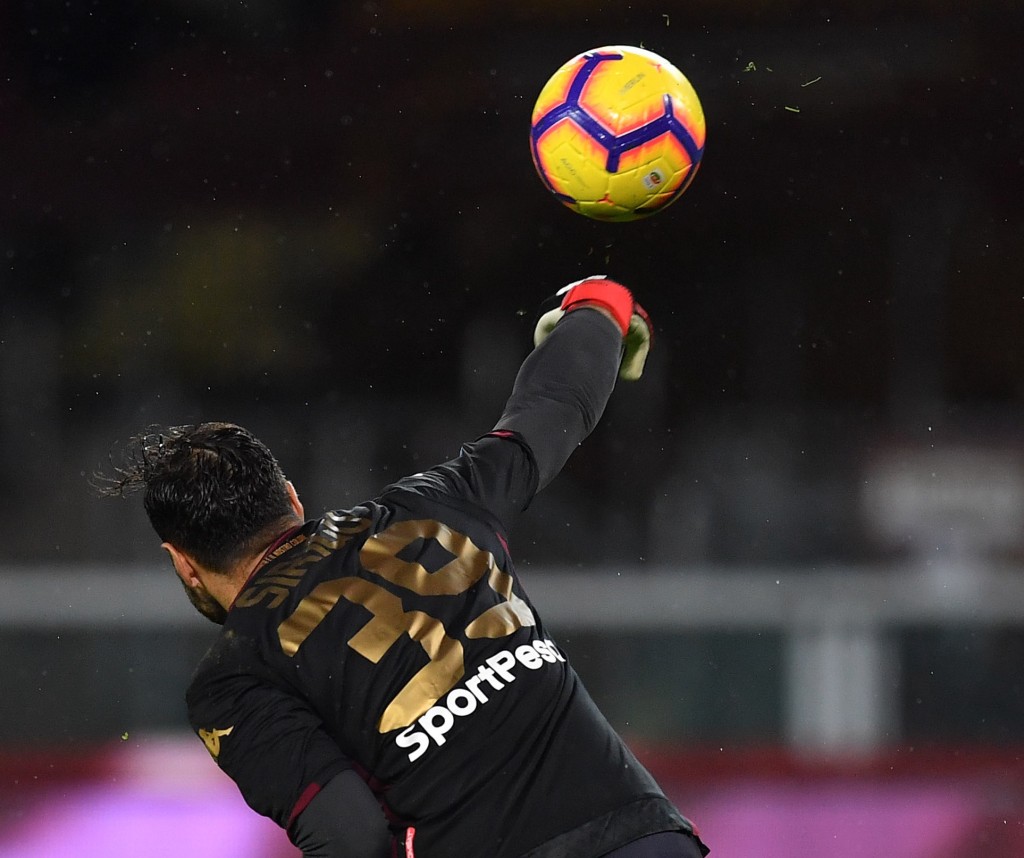 Torino FC v ACF Fiorentina - Serie A