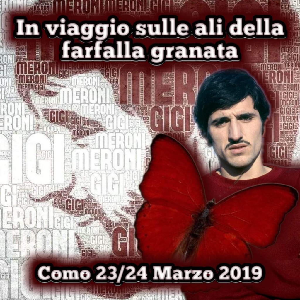 toro como