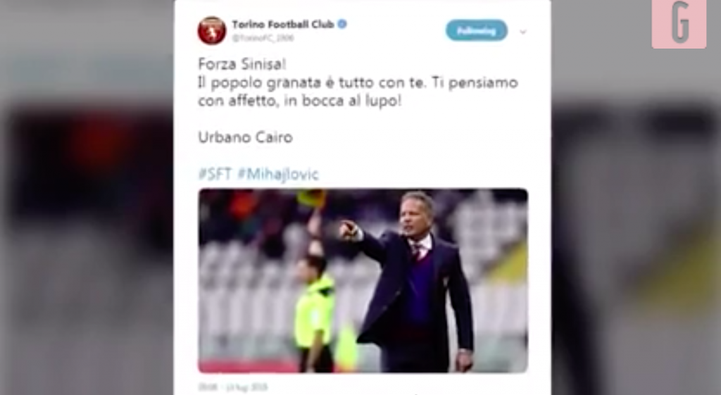 Mihajlovic