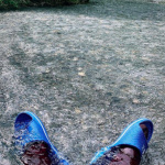 schermata-2019-07-11-alle-19-37-51