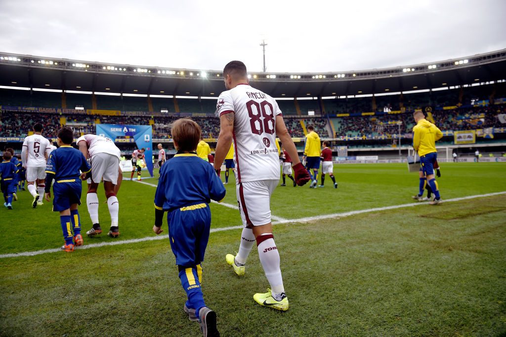 Hellas Verona v Torino FC - Serie A