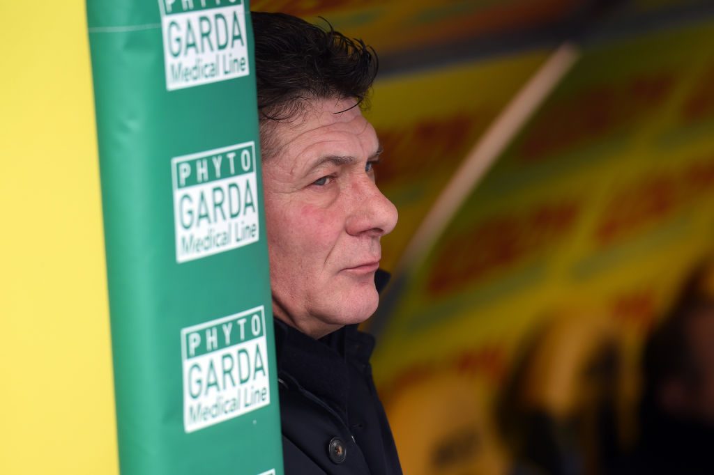 Hellas Verona v Torino FC - Serie A