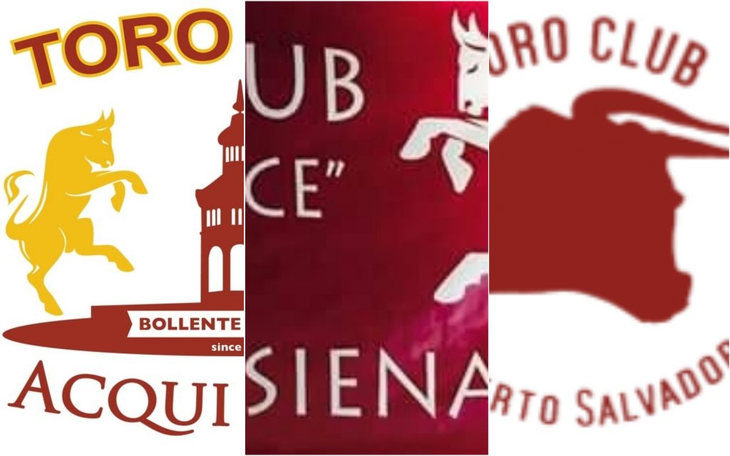 toro-club-acqui-terme-siena-piossasco