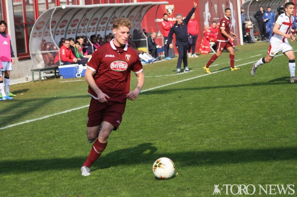 Siniega Torino Primavera