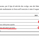 Bilancio Torino 2019, settore giovanile