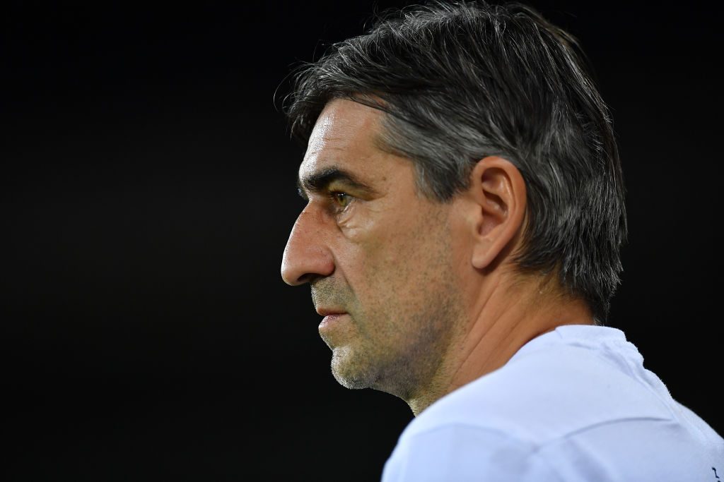 Torino FC v Hellas Verona - Serie A