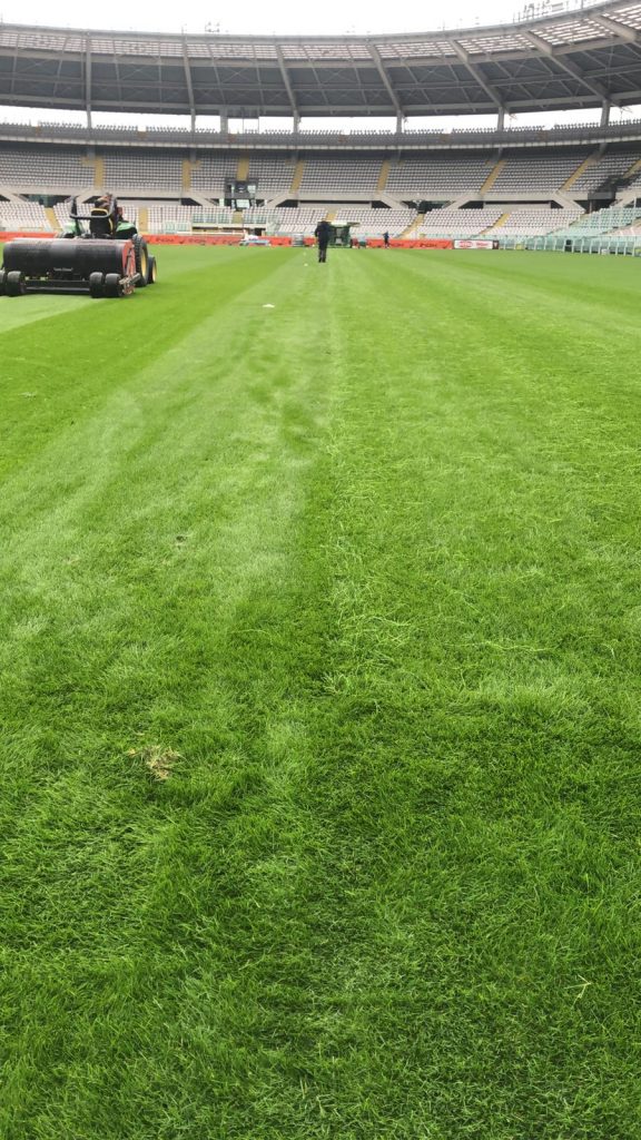 fe18d3fa-cce0-41a6-891e-e9bf01fa7b36