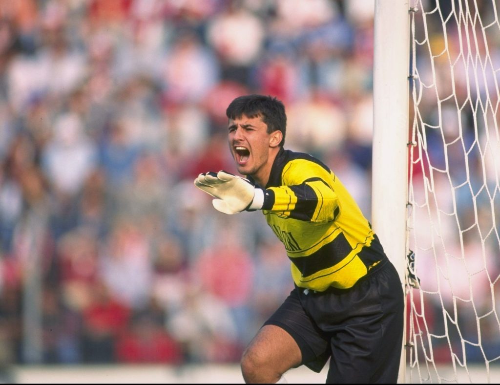 Luca Mondini of Vicenza in action