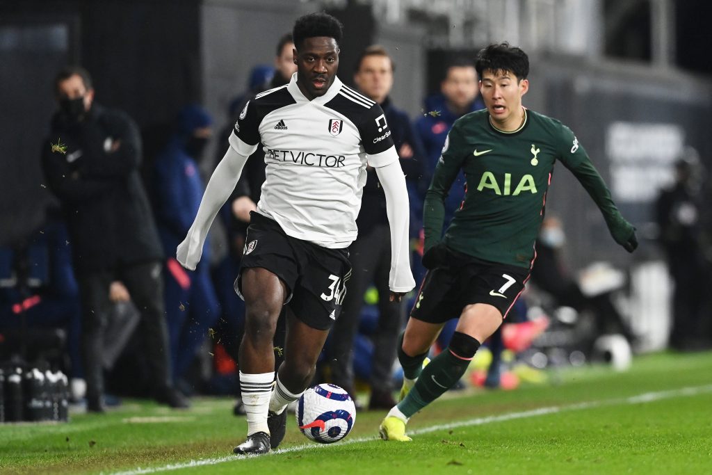 Fulham v Tottenham Hotspur - Premier League