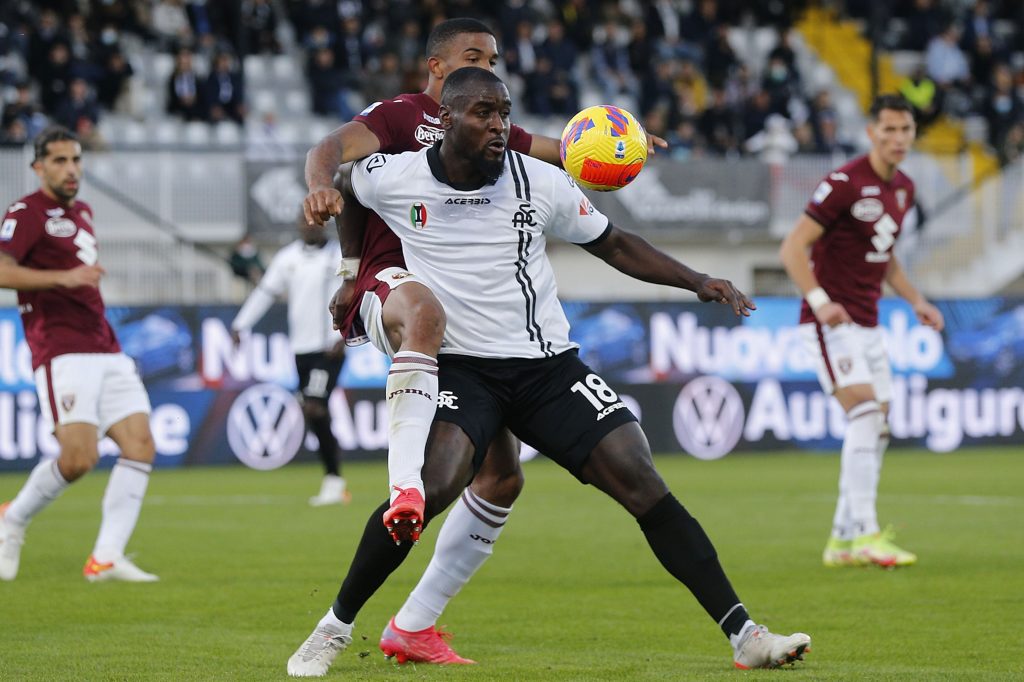 Spezia Calcio v Torino FC - Serie A