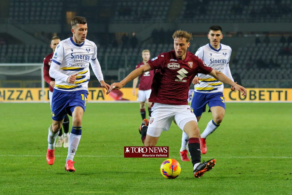 Torino Verona Vojvoda