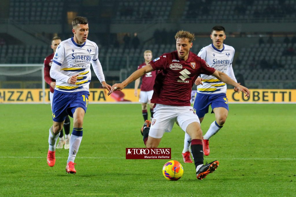 Torino Verona Vojvoda