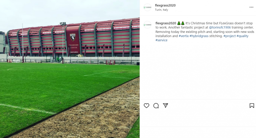 rizollatura filadelfia flexgrass