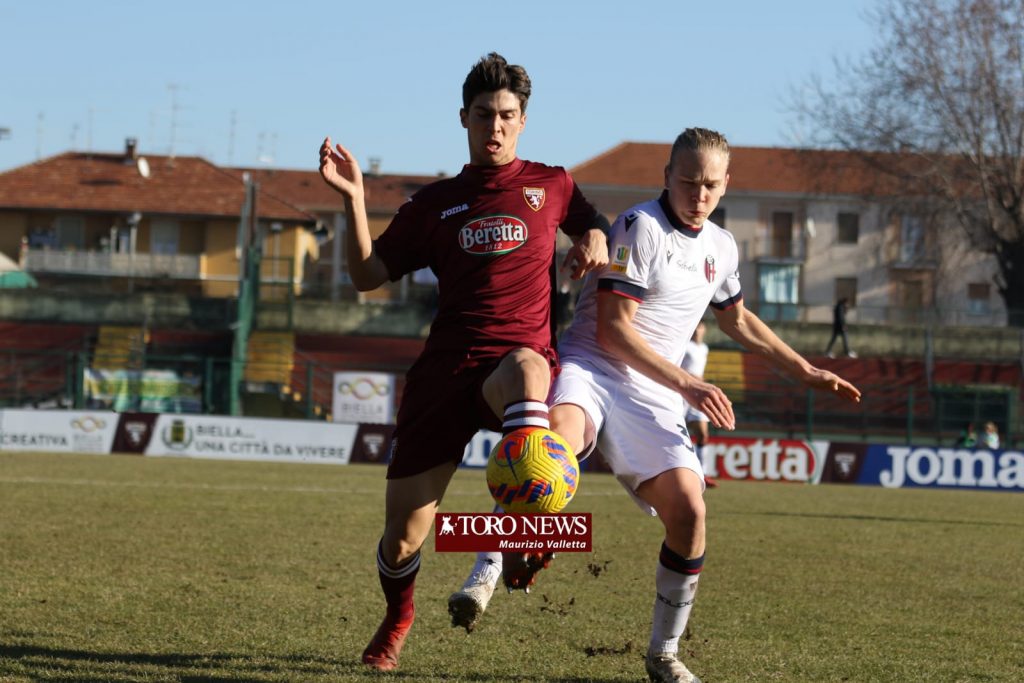 Torino Primavera Amadori
