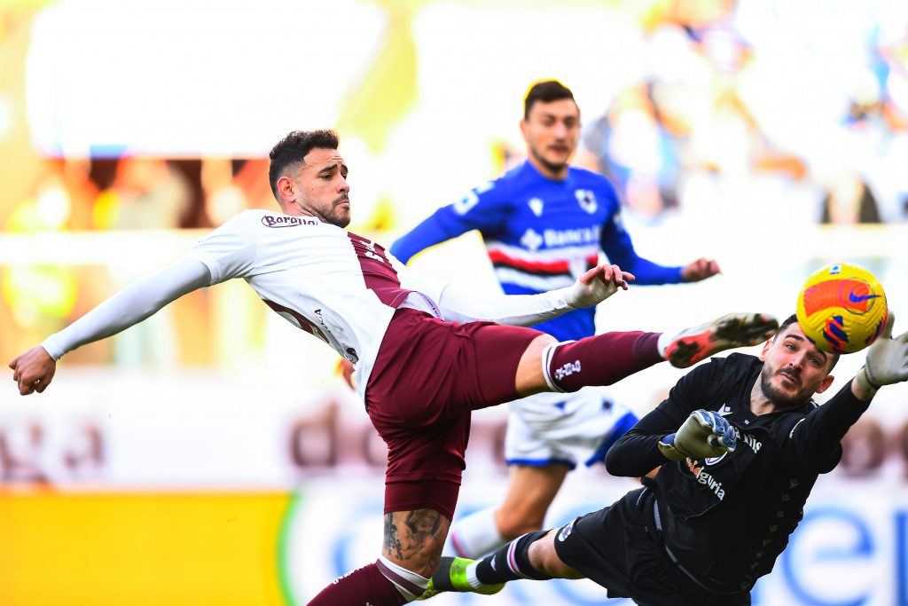 sampdoria-torino