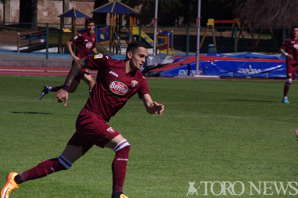 Rosa Torino Primavera (2)