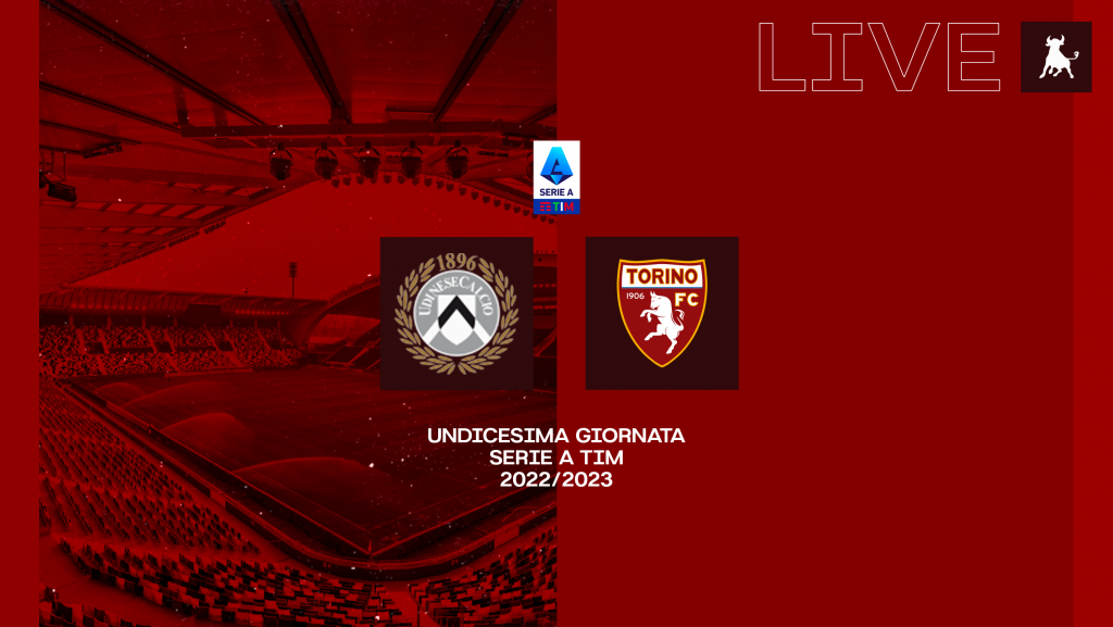 Pannello Udinese-Torino