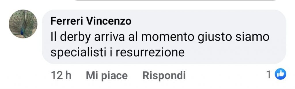 Social 6
