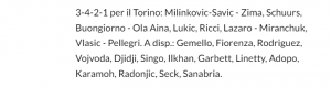 Formazione Torino vs Udinese