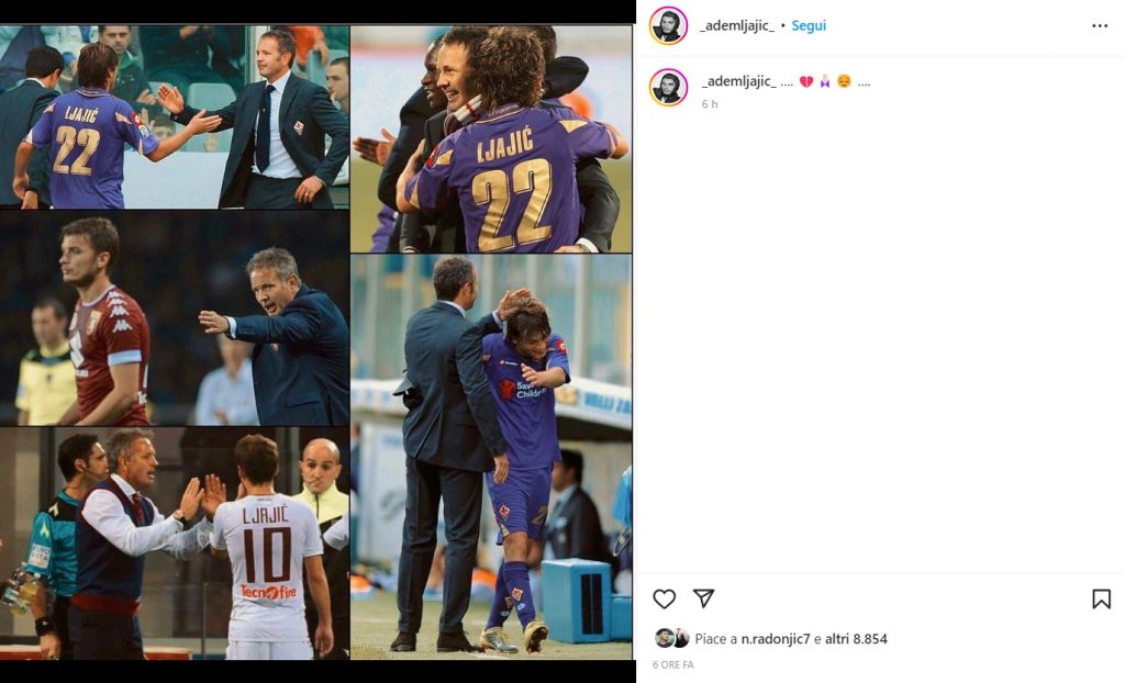 mihajlovic Ljajic