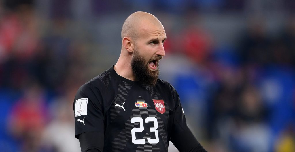 Serbia v Switzerland: Group G - FIFA World Cup Qatar 2022