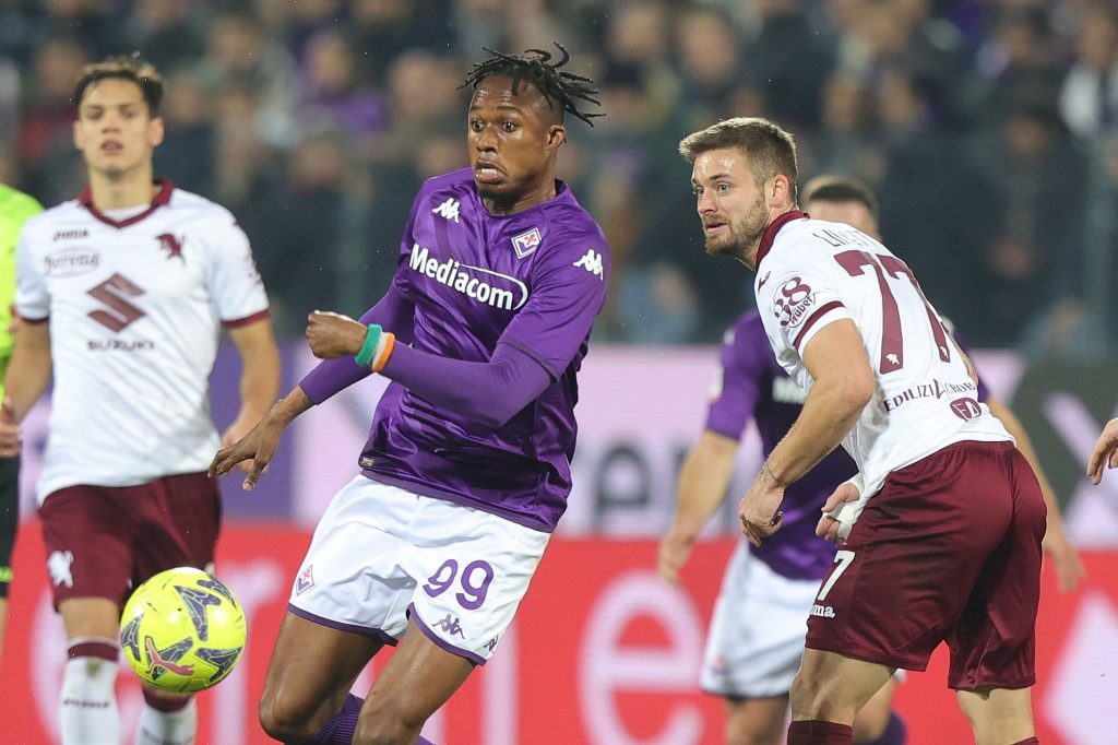 Fiorentina v Torino  - Coppa Italia Quarter Final