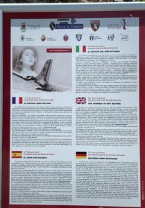 Immagine WhatsApp 2023-05-04 ore 13.02.46