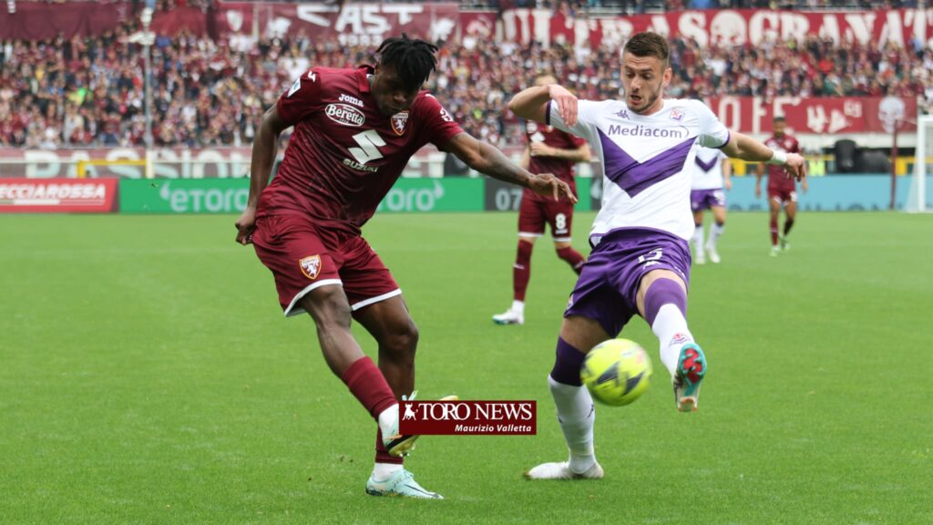 Torino Fiorentina Singo Terzic