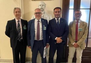 WhatsApp Image 2023-08-17 at 15.58.08