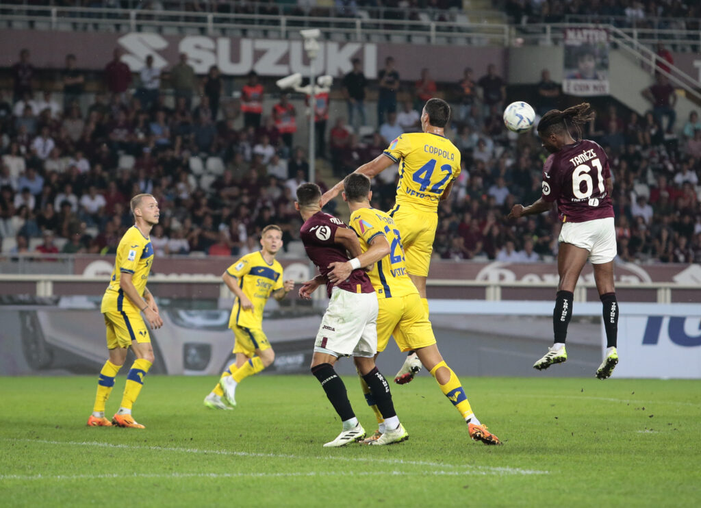 Adrien Tameze Italian Serie A, Torino Fc - Hellas Verona