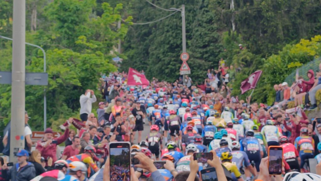 Immagine WhatsApp 2024-05-04 ore 15.53.50_5761d013