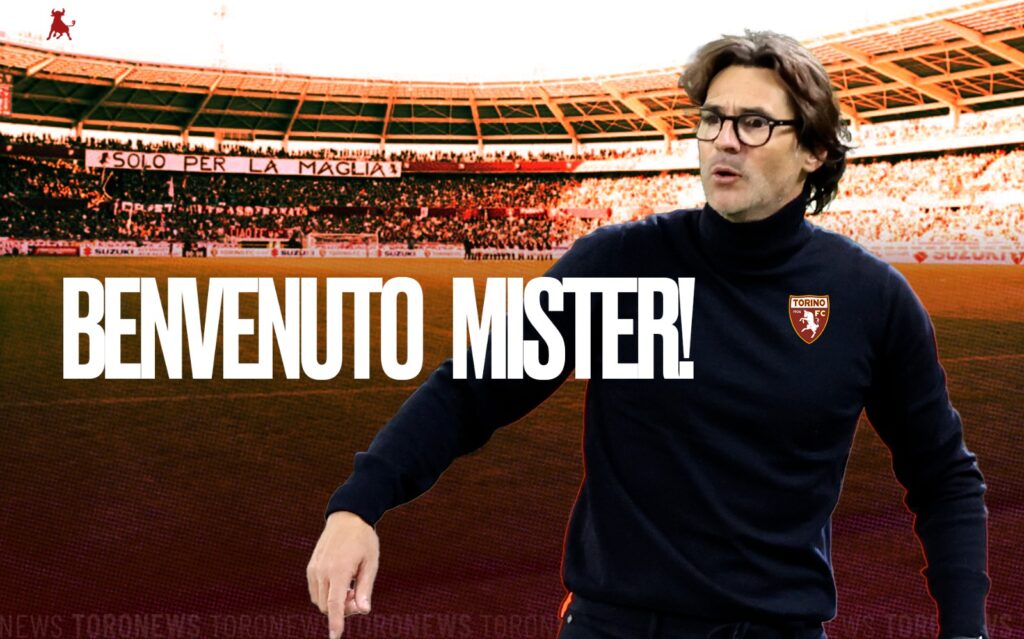 grafica annuncio vanoli