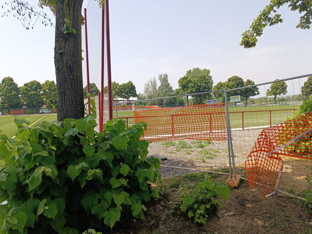 WhatsApp Image 2024-06-20 at 19.50.54