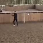 frusta il cavallo in allenamento gazzetta