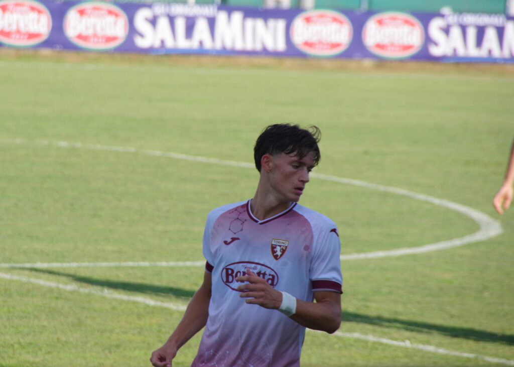 Torino Primavera Desole