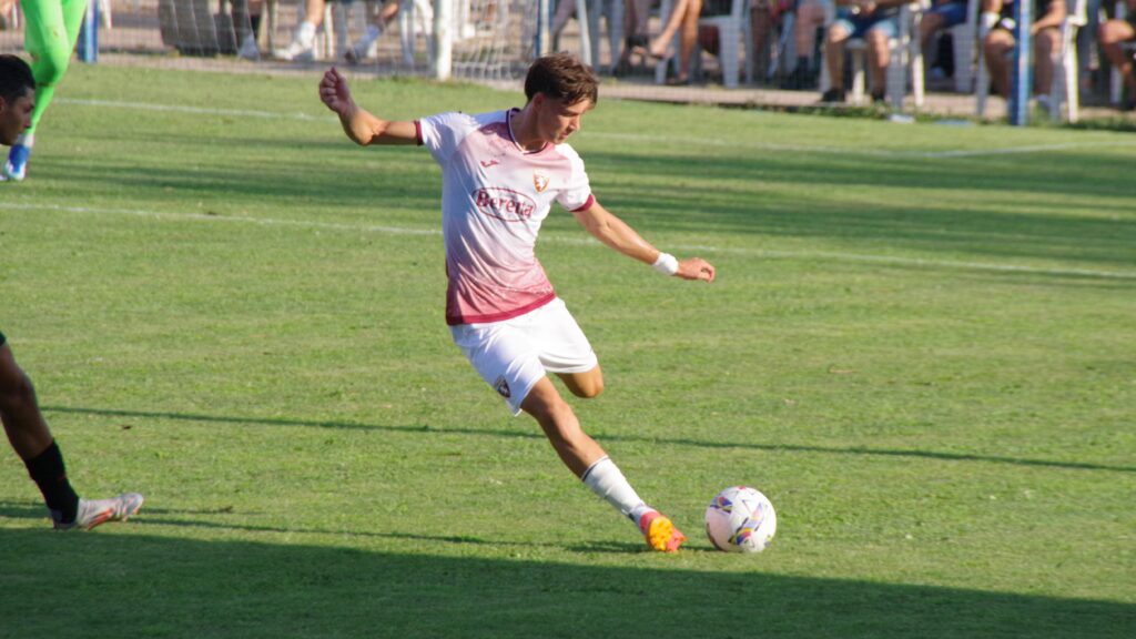 Torino Primavera Desole