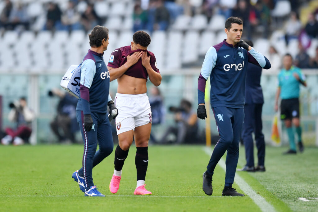 Torino v Fiorentina - Serie A