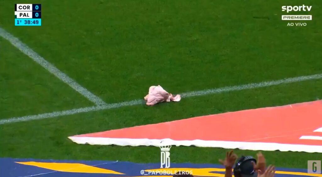 Videogazzetta testa di maiale