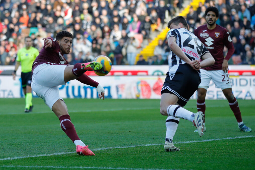 udinese-torino