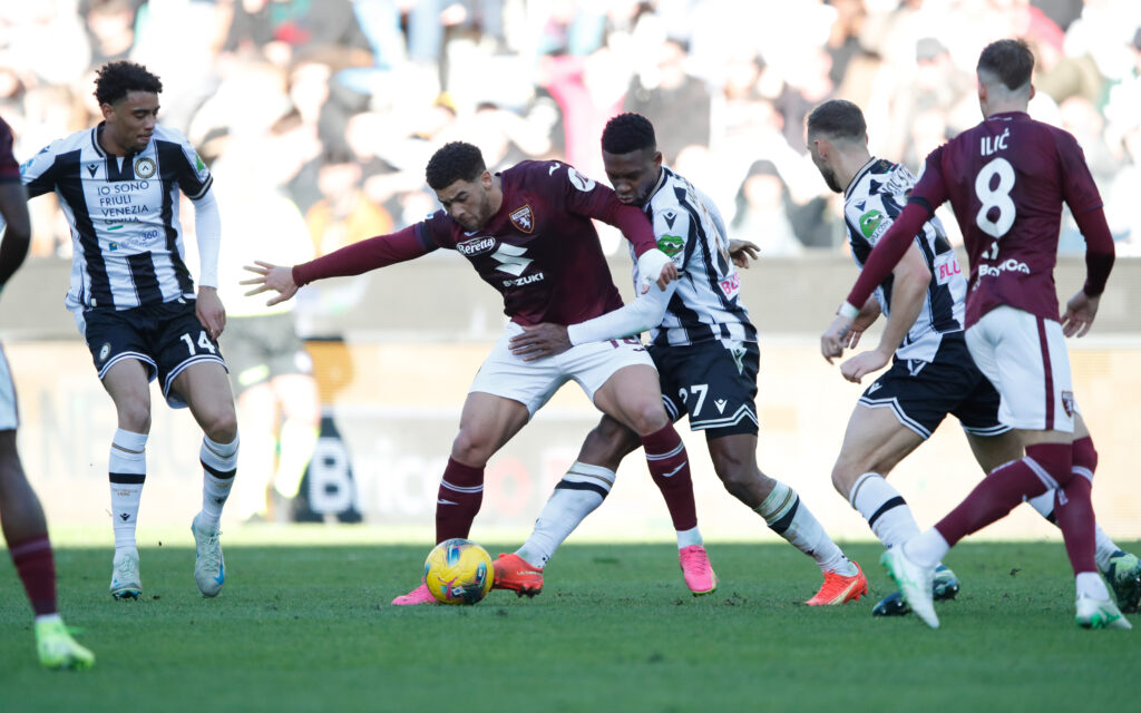 Udinese v Torino - Serie A